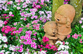 300 SWEET WILLIAM SEEDS | 2026 FREE SHIPPING NON GMO "SWEET WILLIAM"