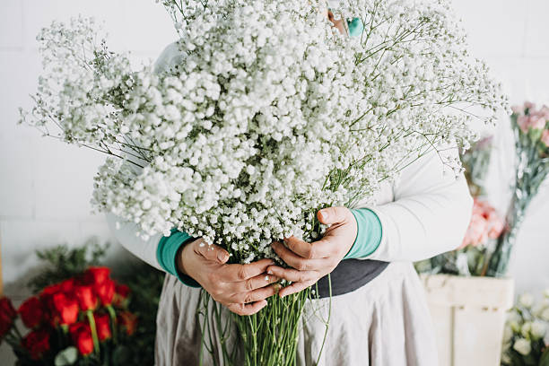 500 BABY'S BREATH SEEDS | 2026 SALE FREE SHIPPING NON GMO HEIRLOOM