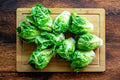 1000 LITTLE GEM BUTTERHEAD LETTUCE SEEDS | SALE FREE SHIPPING NON GMO HEIRLOOM