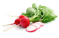 300 CHAMPION RADISH SEEDS | 2026 SALES FREE SHIPPING NON GMO