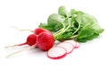 300 CHAMPION RADISH SEEDS | 2026 SALES FREE SHIPPING NON GMO