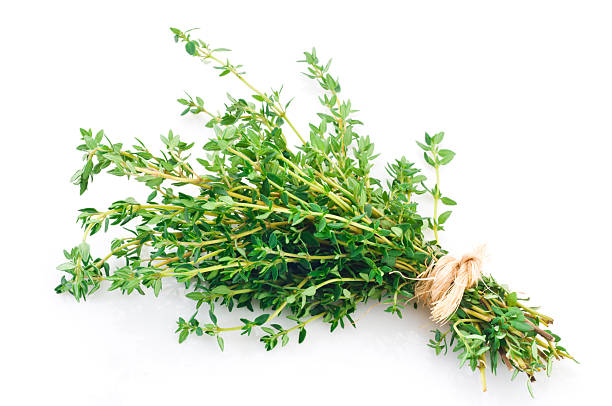 500 COMMON THYME SEEDS | SALE FREE SHIPPING NON GMO HEIRLOOM