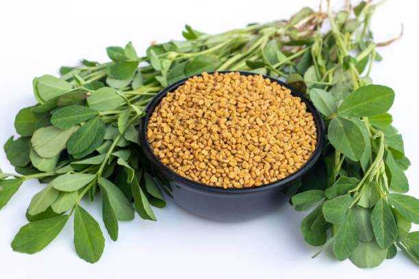60 FENUGREEK SEEDS | SALE FREE SHIPPING NON GMO