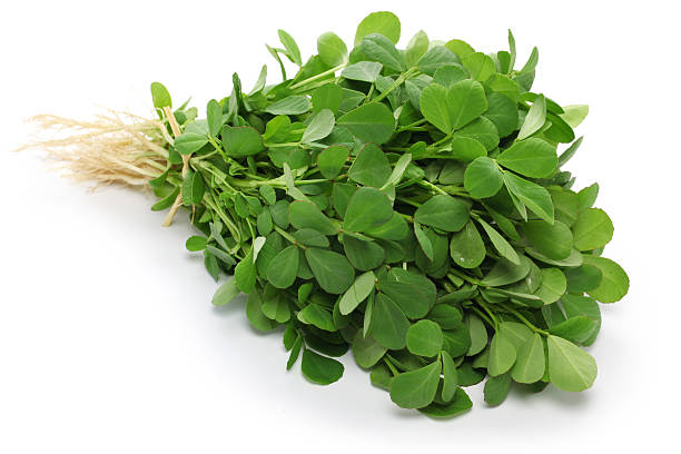 60 FENUGREEK SEEDS | SALE FREE SHIPPING NON GMO