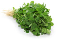 60 FENUGREEK SEEDS | SALE FREE SHIPPING NON GMO