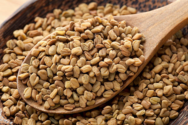 60 FENUGREEK SEEDS | SALE FREE SHIPPING NON GMO