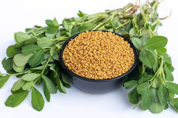 60 FENUGREEK SEEDS | SALE FREE SHIPPING NON GMO