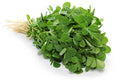 60 FENUGREEK SEEDS | SALE FREE SHIPPING NON GMO