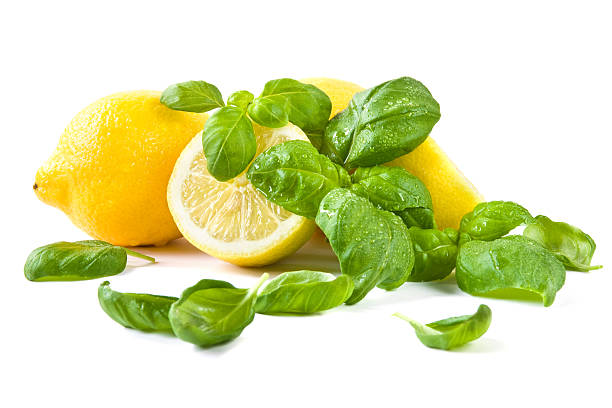 250 LEMON BASIL SEEDS | SALE FREE SHIPPING NON GMO