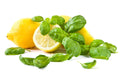 250 LEMON BASIL SEEDS | SALE FREE SHIPPING NON GMO